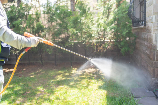 Seasonal Pest Control (e.g., summer mosquitoes, winter rodents) in Montz, LA